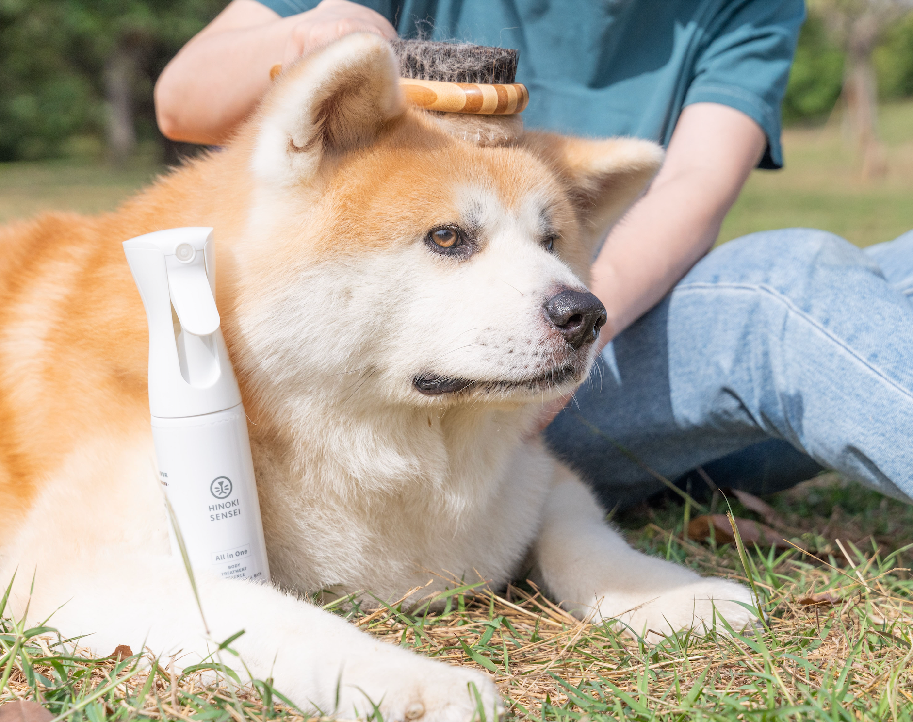 檜沐先生(香港) 服務承諾:即日出貨,客戶滿意度保證