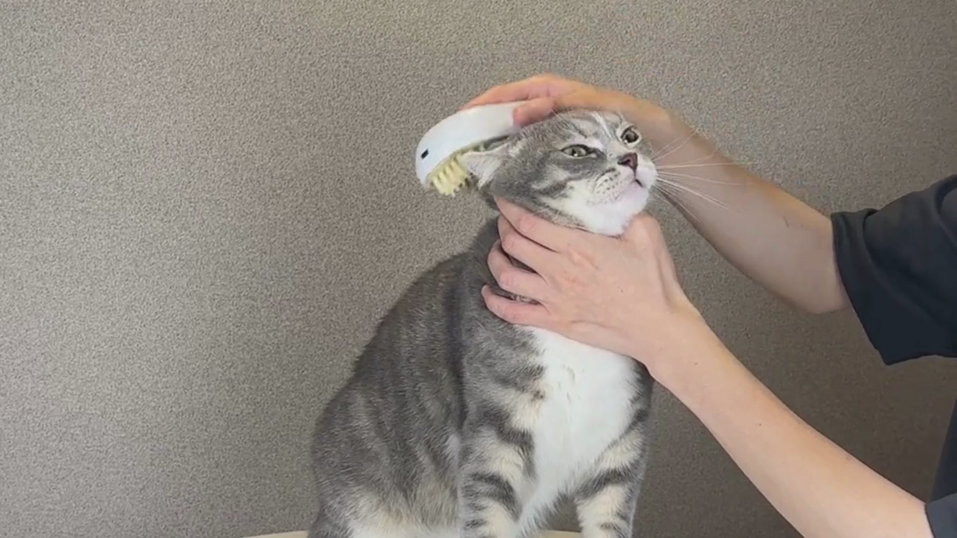 載入影片: