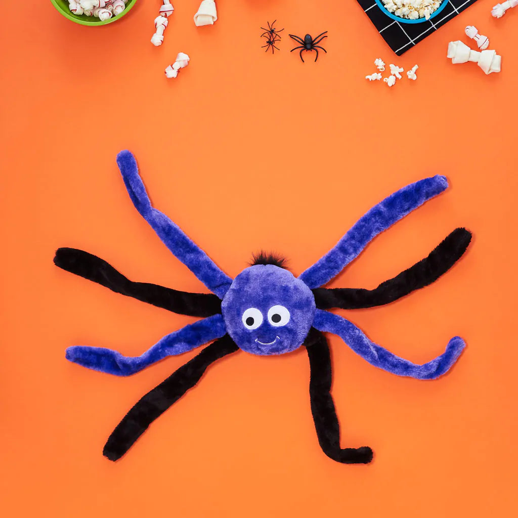 搞怪小蜘蛛玩具