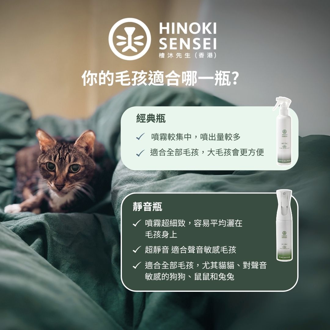 【貓狗去浮毛必備】超音波噴霧梳＋檜木天然乾洗噴霧