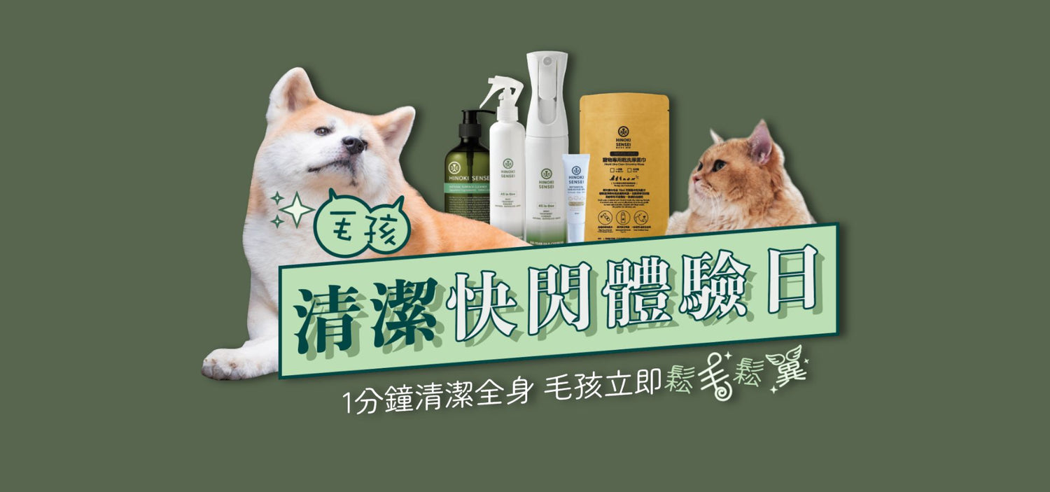 檜沐先生(香港)